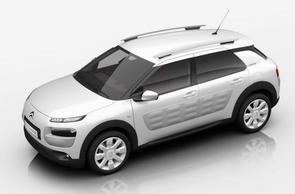 How much is a C4 Cactus worth?