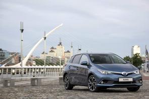 How much is a 171 Auris worth?
