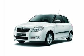 What needs doing in a Fabia service?