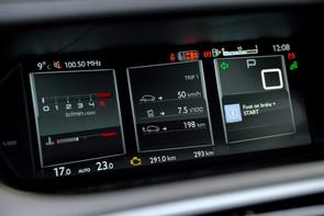 What does l/100 mean?