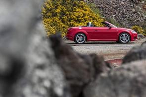 How mych are my cars worth?