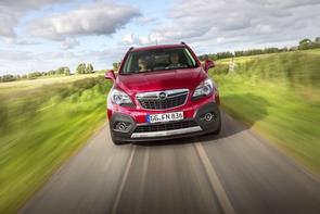 What's wrong with my Mokka?
