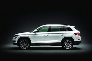 When to change my Kodiaq's belt?