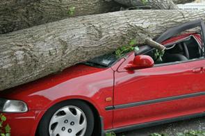 Will the OMSP reflect damage?