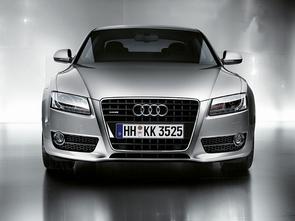 Chain or belt in my Audi A5?