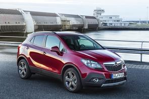 I have a fault code for my Mokka...