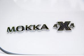 When to change my Mokka diesel's belt?