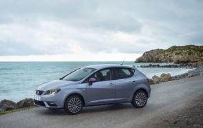 Belt or chain in a 161 SEAT Ibiza?