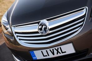 Does my Insignia have a chain?