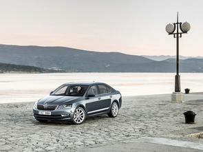 Belt or chain in my 2019 Octavia?