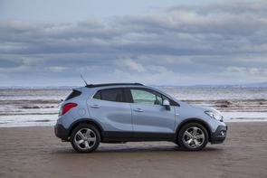 Belt or chain in my 2014 Mokka petrol?