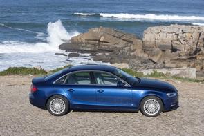 Does my Audi A4 diesel have a belt or chain?