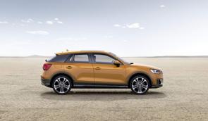 Belt or chain in my Audi Q2?