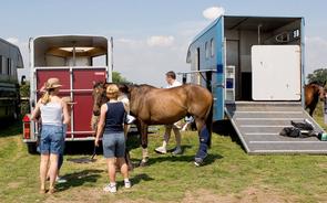 Are there trailers on Carzone?
