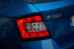 Which belt has the Fabia 1.0?