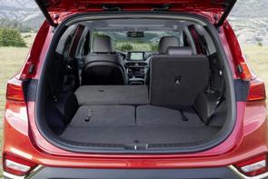 Looking for a larger family car...