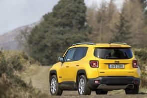 Belt or chain in a Renegade?