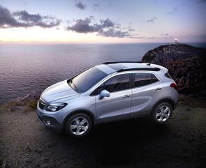 My Mokka needs its chain replacing...