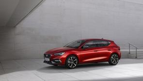 Wet or dry belt in a 2021 SEAT Leon?