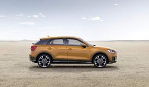 Belt or chain in a 2019 Audi Q2?