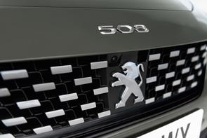 Belt or chain in a 2020 Peugeot 508 diesel?