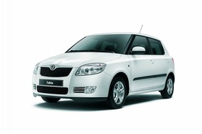 How much could I sell my Skoda for?