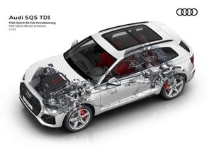 Belt or chain in my Audi SQ5?