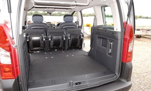 I need a large car for family and dog!