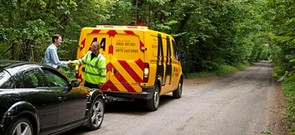 How much is an AA inspection?