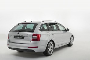Fair price for my Skoda?