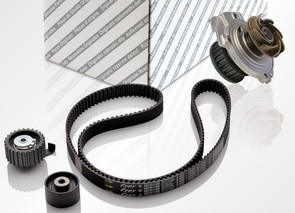 Does my Skoda have a timing belt?
