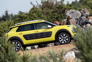 What's a 2015 C4 Cactus worth?
