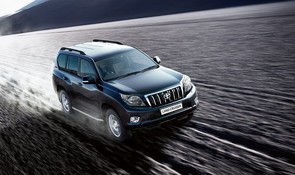 Looking for a commercial SUV.