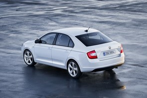 Chain or belt on 2013 Skoda Rapid?