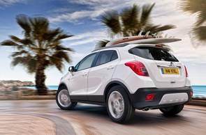 Power steering problems on the Mokka?