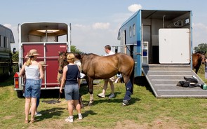 I need to tow a horse trailer.