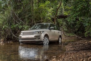 Looking for 4x4 dealers...