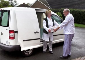 I need a van for frozen food deliveries.