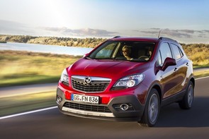 What's wrong with my Mokka?