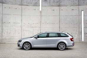 Looking for spacious petrol family car.