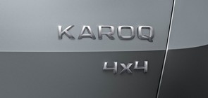 Looking at buying a Skoda Karoq.