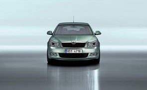 Does my Skoda have a timing belt or chain?