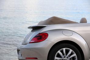 How to care for my Beetle's roof?