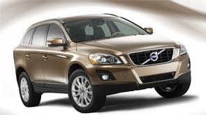 Best car for lumbar and towing?