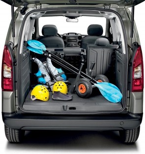What car would suit my family and work life?
