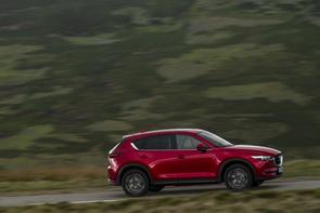 Any petrol CX-5s?