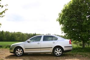 Length of a Skoda 1.9 TDI belt?